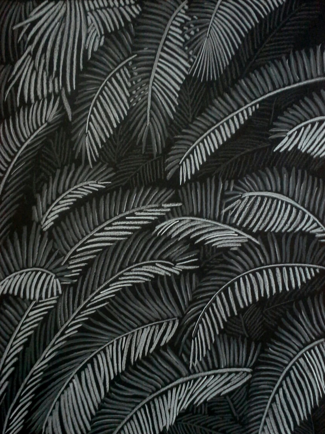 Palms