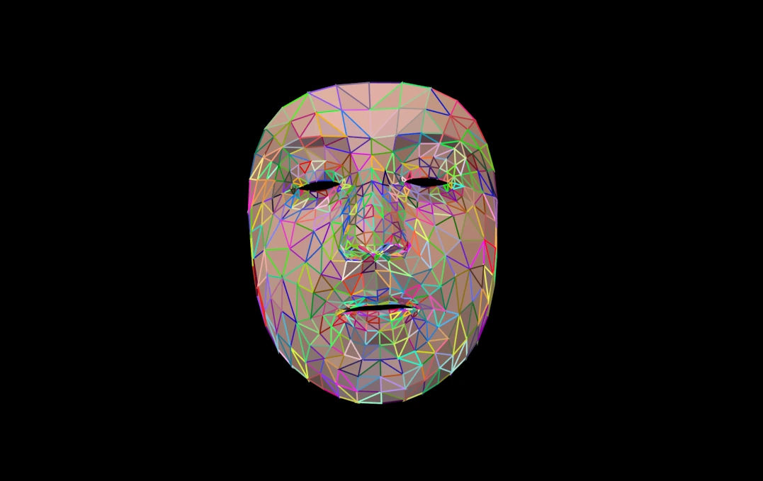 Facial Interaction