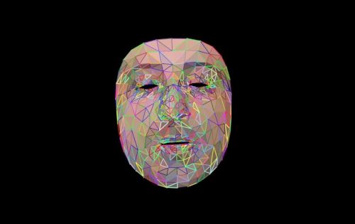 Facial Interaction